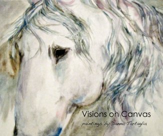 Visions on Canvas book cover