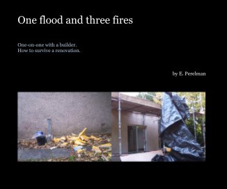 One flood and three fires book cover