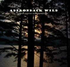 Adirondack Wild sarah yeoman and paul skibinski book cover