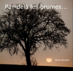 par dela les brumes (carré) ... book cover