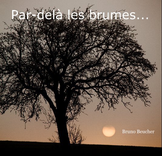 Visualizza par dela les brumes (carré) ... di Bruno Beucher