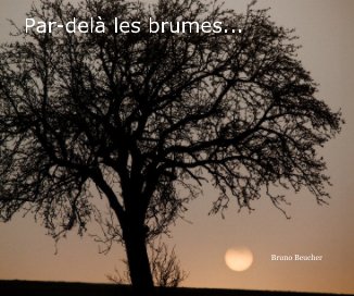 par dela les brumes (paysage) ... book cover