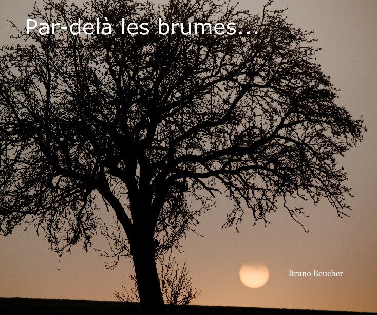 Ver par dela les brumes (paysage) ... por Bruno Beucher