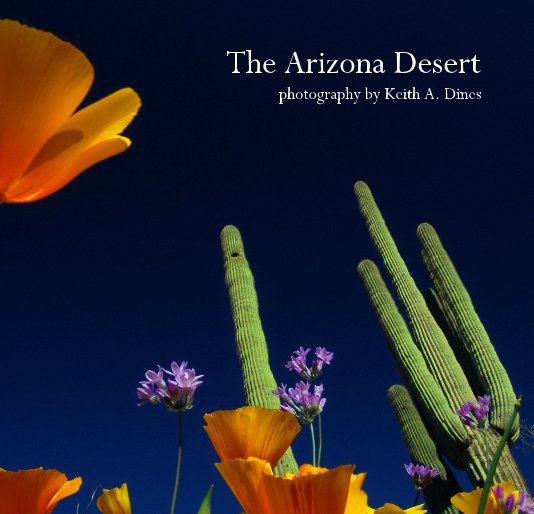 View The Arizona Desert by Keith A. Dines