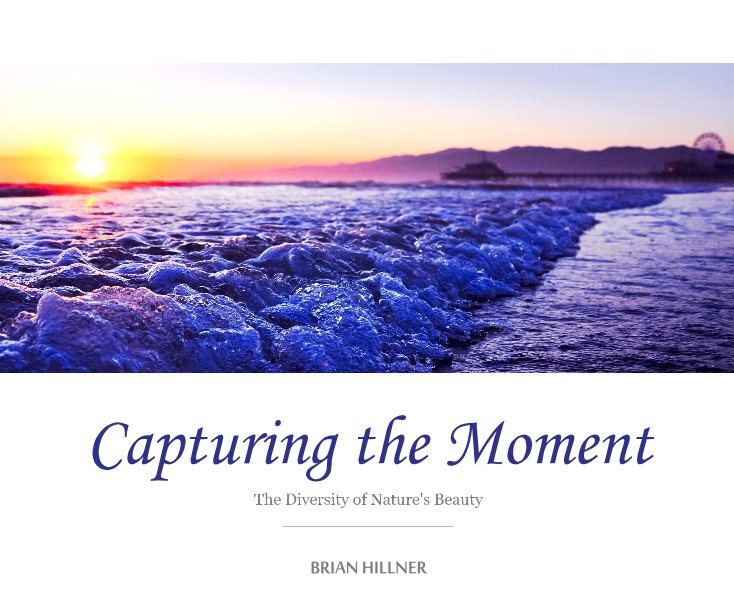 View Capturing the Moment by BRIAN HILLNER