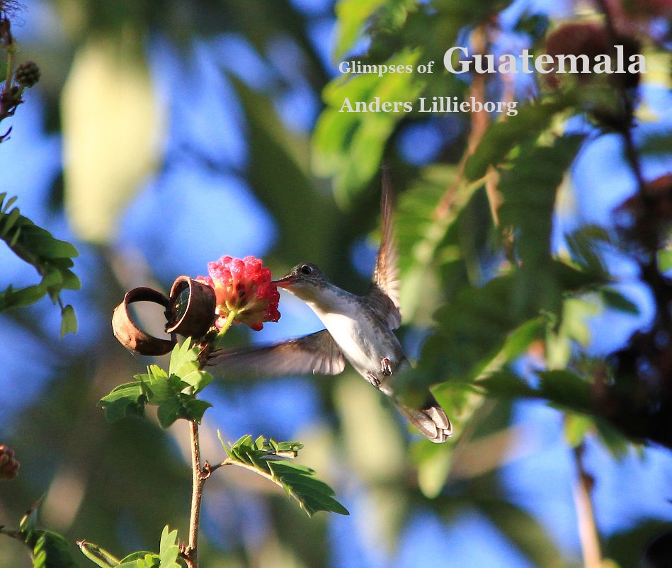 Visualizza Glimpses of Guatemala di Anders Lillieborg