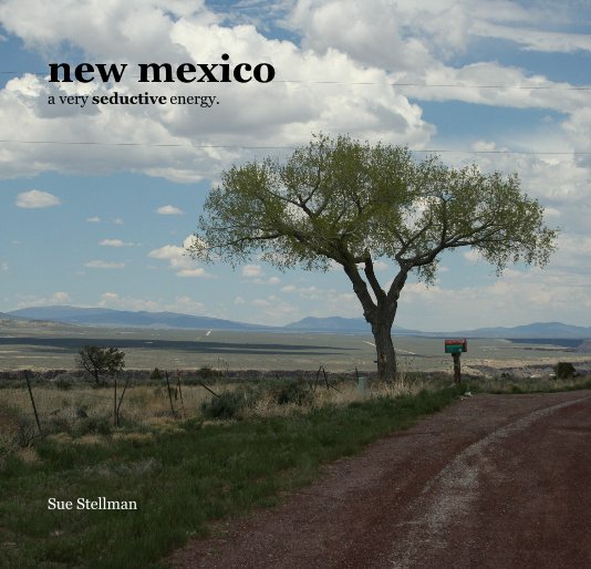View New Mexico by Sue Stellman