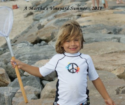 A Martha's Vineyard Summer - 2011 book cover