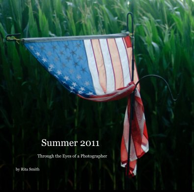 Summer 2011 book cover