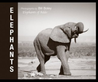 Elephants book cover
