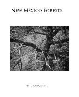 New Mexico Forests book cover