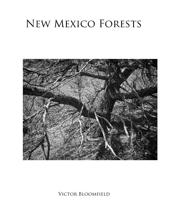 View New Mexico Forests by Victor Bloomfield