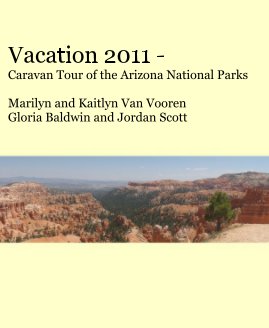 Vacation 2011 book cover