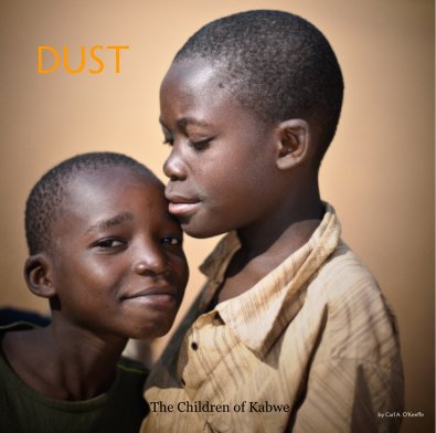 DUST book cover