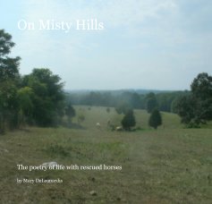 On Misty Hills book cover