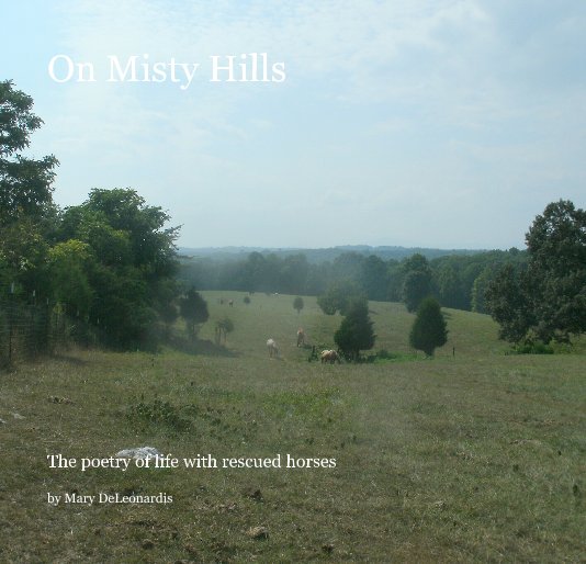 View On Misty Hills by Mary DeLeonardis