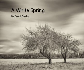 A White Spring book cover