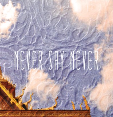 Never Say Never book cover