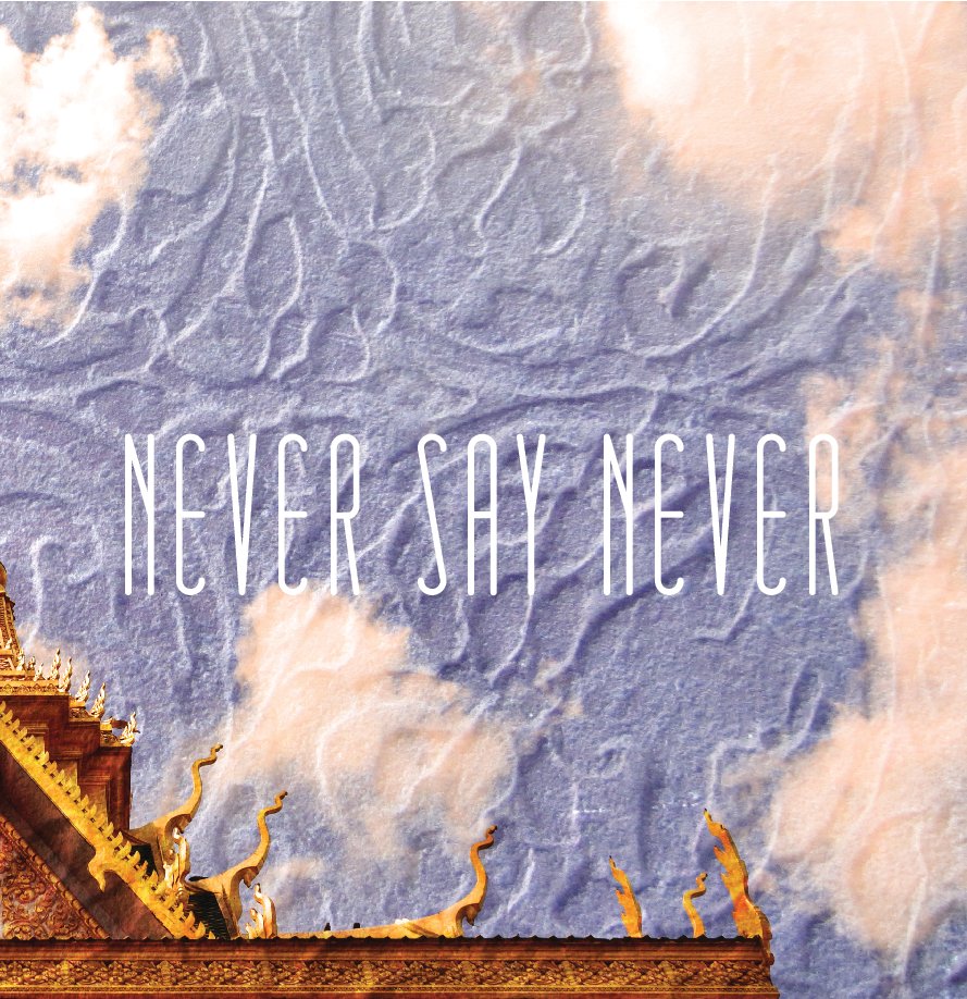 View Never Say Never by Joelle Wall