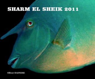 SHARM EL SHEIK 2011 book cover