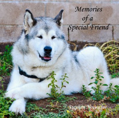 Memories of a Special Friend book cover