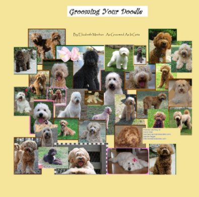 Grooming Your Doodle book cover