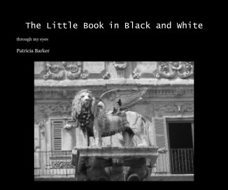 The Little Book in Black and White book cover