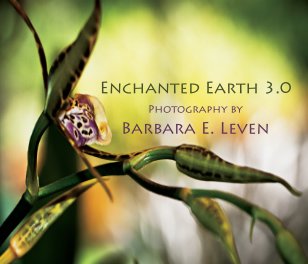 Enchanted Earth 3.0 book cover