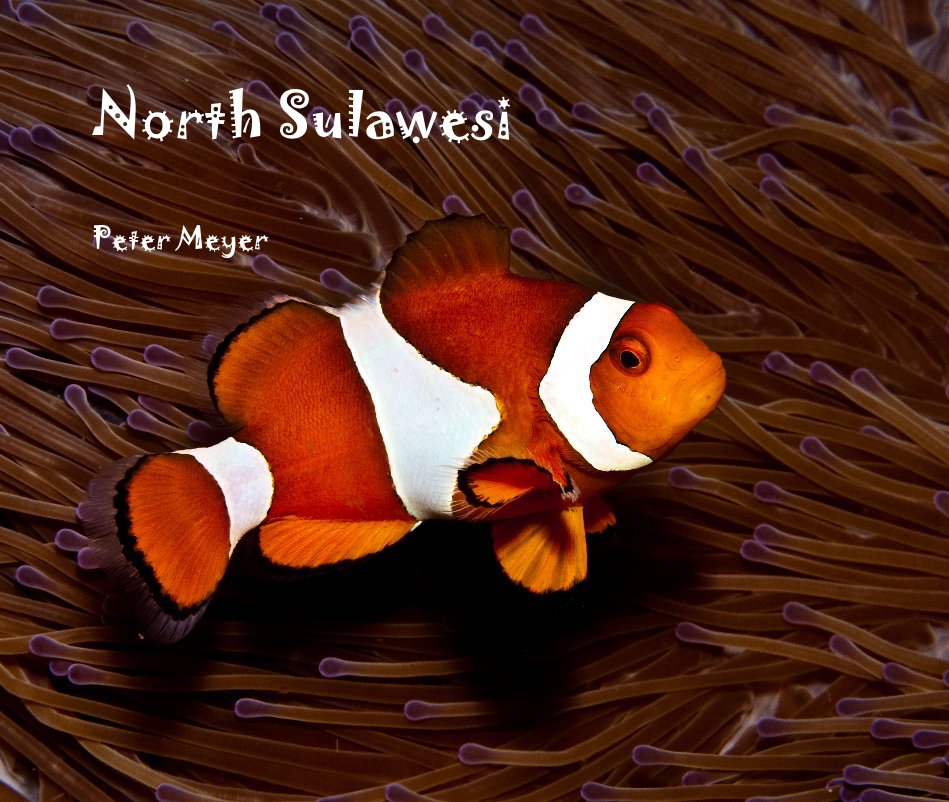 View North Sulawesi by Peter Meyer