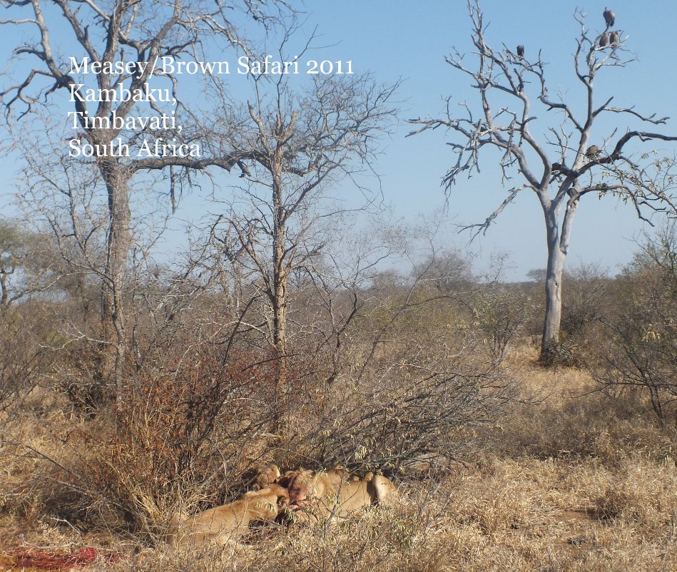 Ver Measey/Brown Safari 2011 Kambaku, Timbavati, South Africa por Richard Measey
