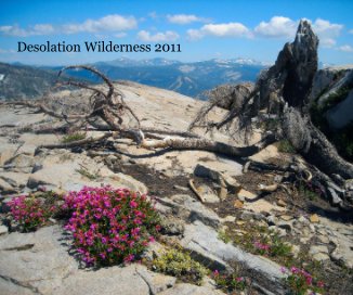 Desolation Wilderness 2011 book cover