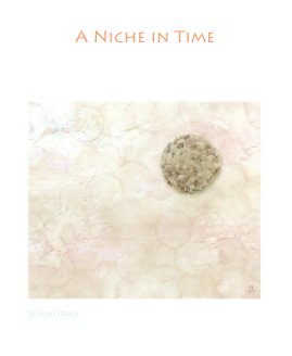 A Niche in Time book cover