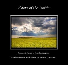 Visions of the Prairies book cover