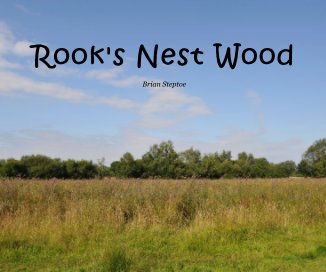 Rook's Nest Wood book cover