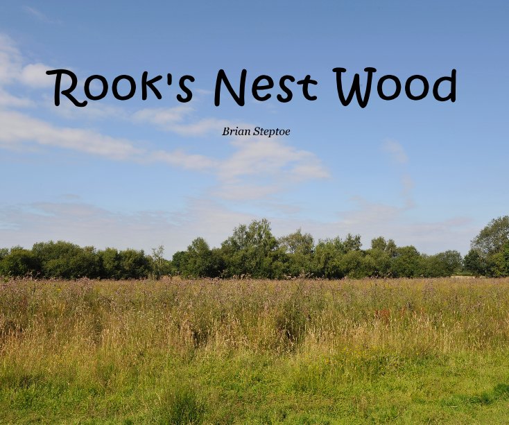 View Rook's Nest Wood by Brian Steptoe