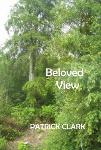 Beloved View book cover
