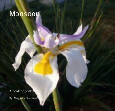 Monsoon book cover