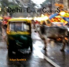 Delhi - Eaux en CouleurS book cover