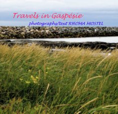 Travels in Gaspésie 
RHOMA MOSTEL book cover