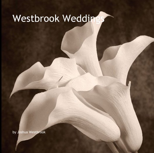 Bekijk Westbrook Weddings op Joshua Westbrook