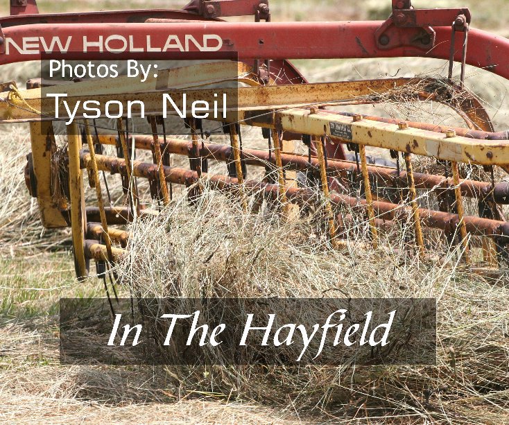View In The Hayfield by Tyson Neil