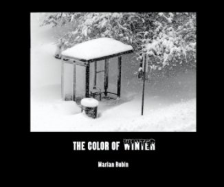 The Color of Winter book cover
