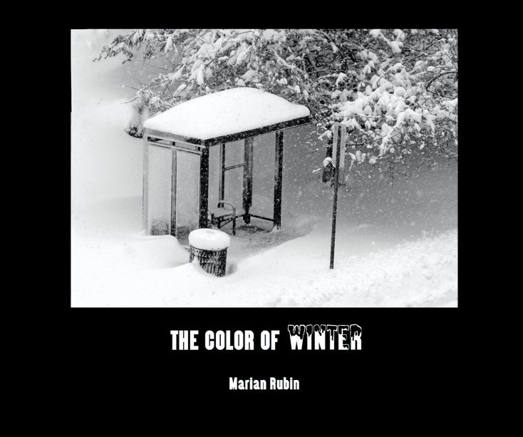 View The Color of Winter by Marian Rubin