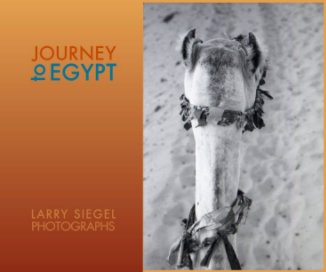 Journey to Egypt book cover