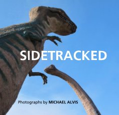 SIDETRACKED book cover