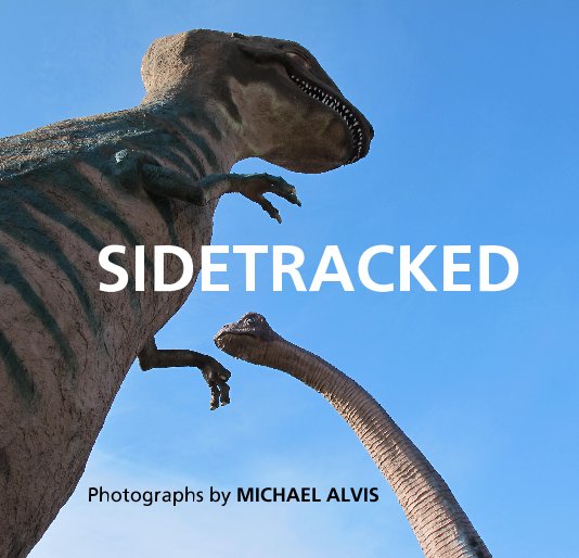 View SIDETRACKED by MICHAEL ALVIS