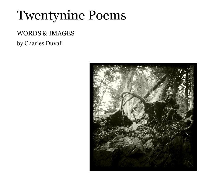 View Twentynine Poems by Charles Duvall