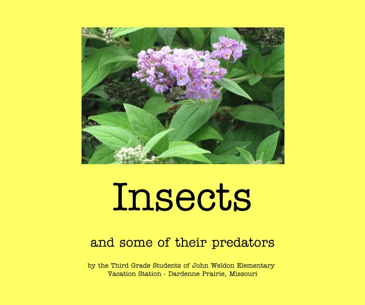 Ver Insects por the Third Grade Students of John Weldon Elementary Vacation Station - Dardenne Prairie, Missouri