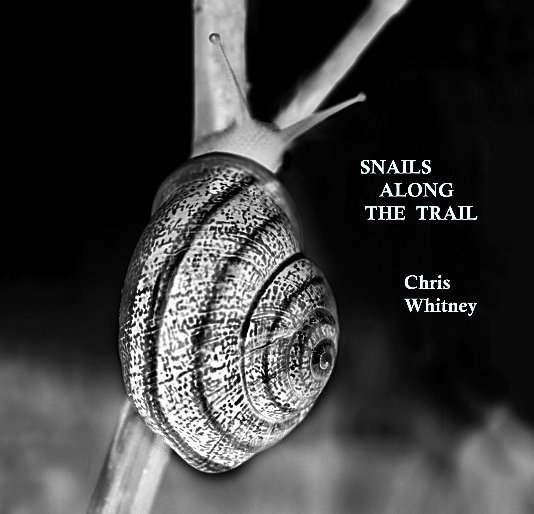View Snails Along the Trail by Chris Whitney