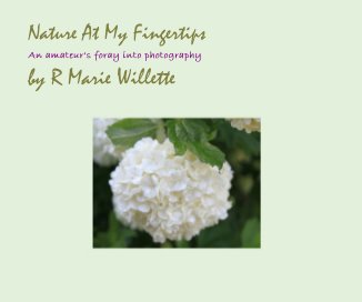 Nature At My Fingertips book cover